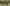 Elevated Lifestyle Living - Dairy Flat - Image 3
